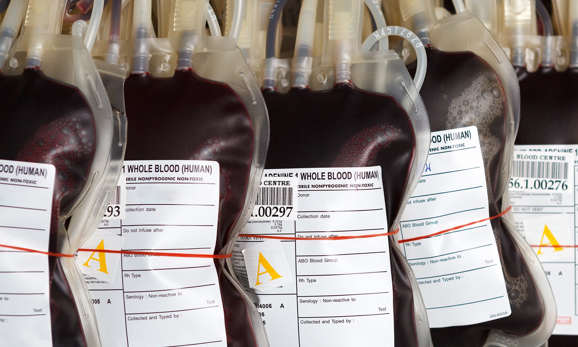Lifesaving Blood Transfusions Before the ER | Lehigh Valley Health